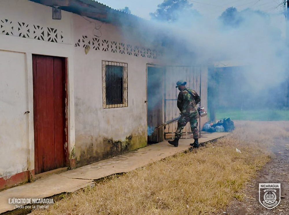 FUMIGACION3