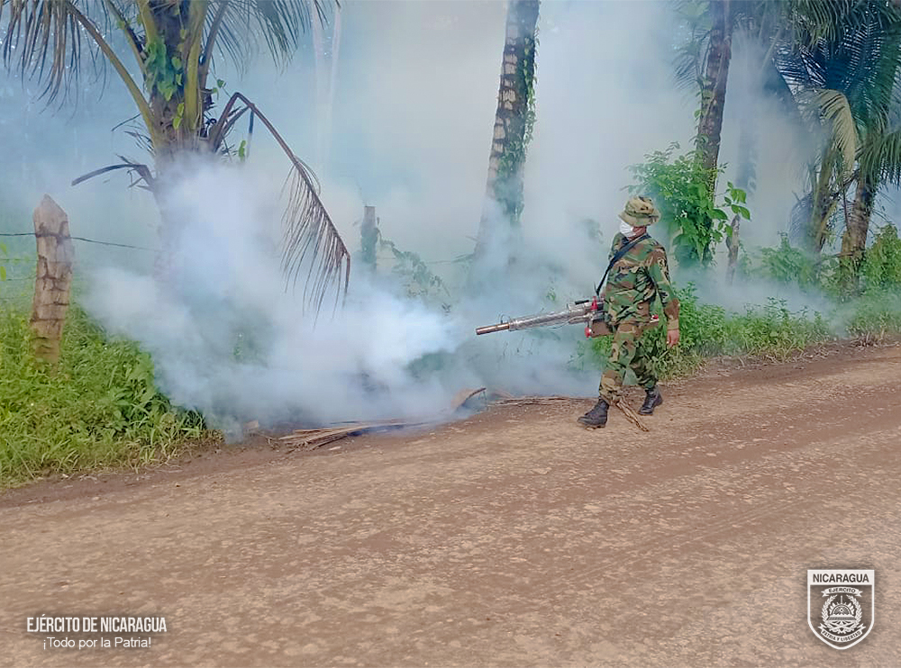 FUMIGACION5