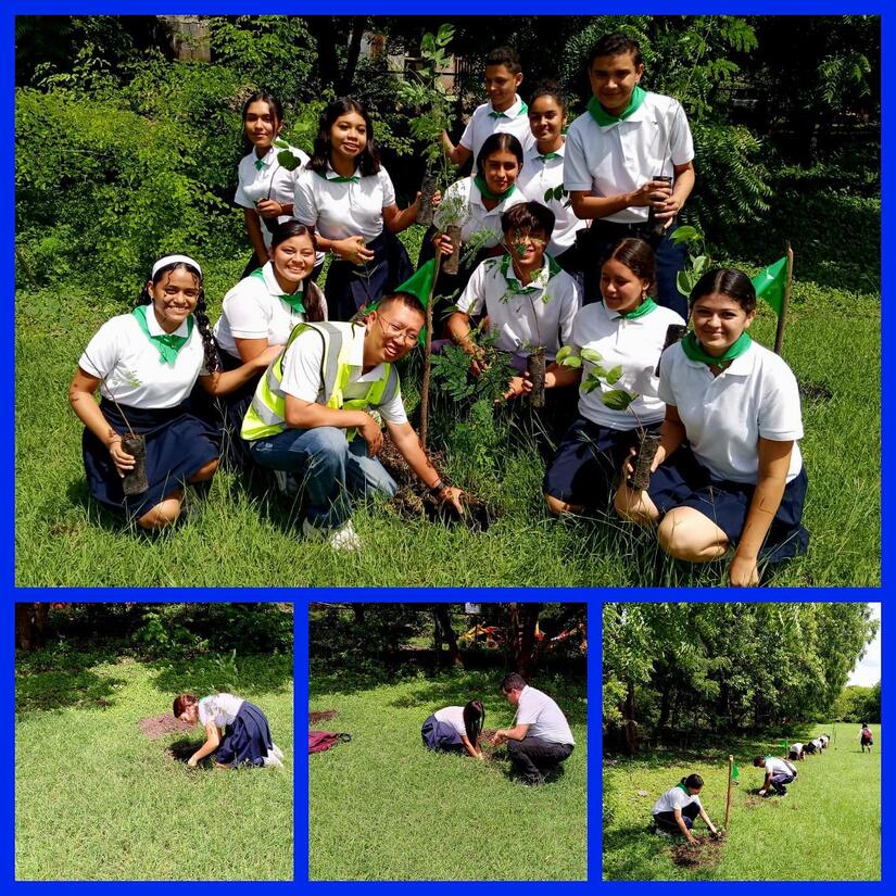 Verde-que-te-quiero-verde-1