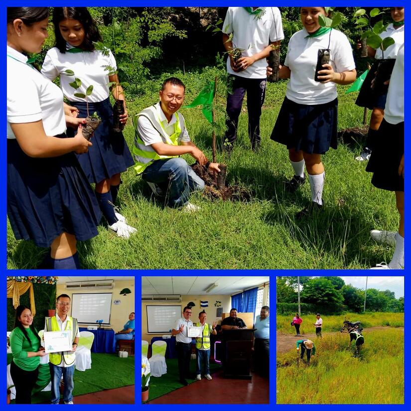 Verde-que-te-quiero-verde-4