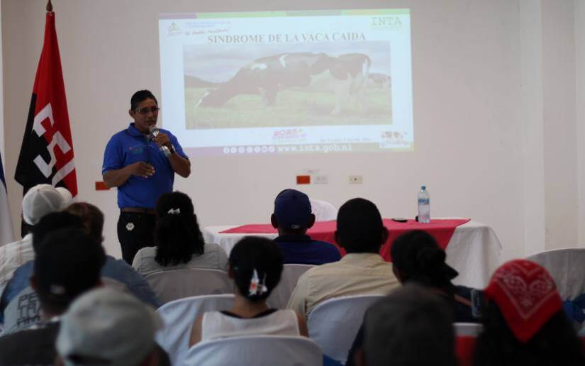 CONFERENCIA7