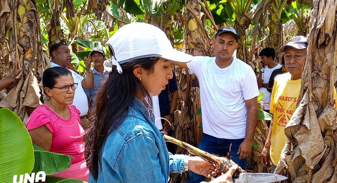 CHINANDEGA4