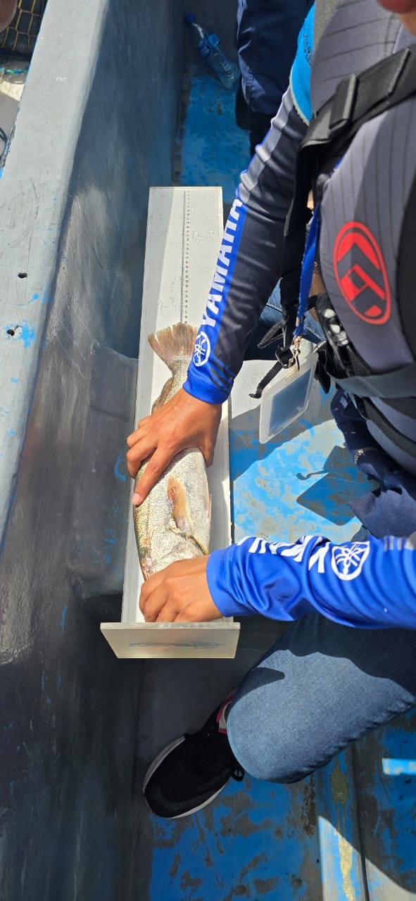 PESCA21