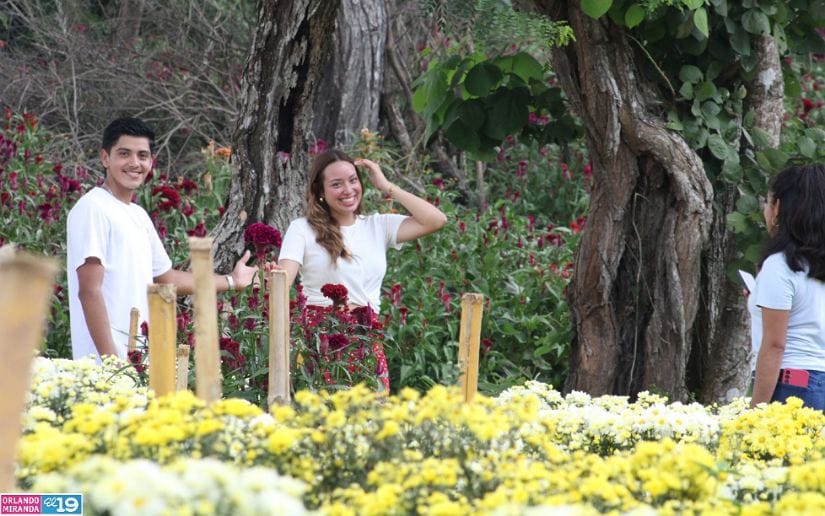 Cultivo-de-flores-Catarina-14