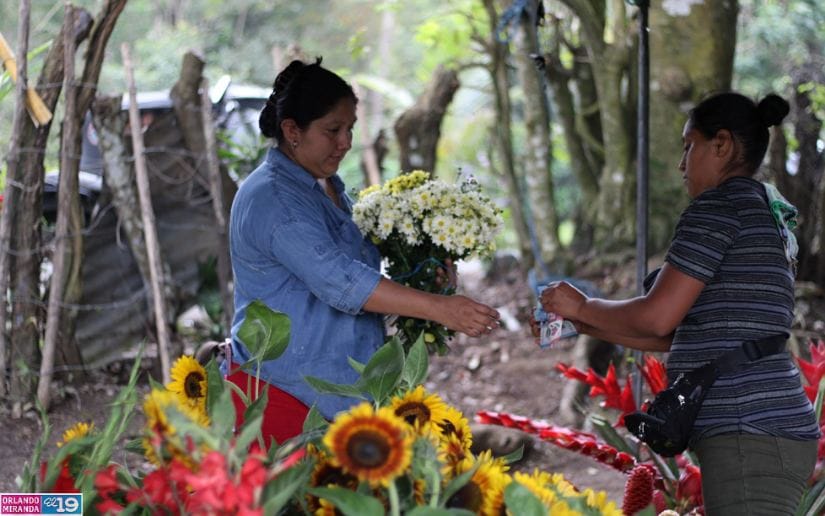 Cultivo-de-flores-Catarina-15