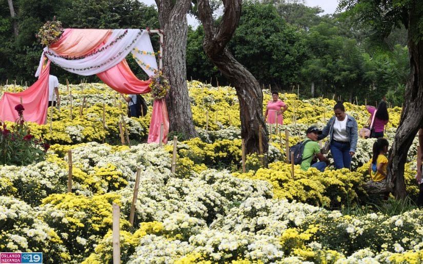 Cultivo-de-flores-Catarina-18