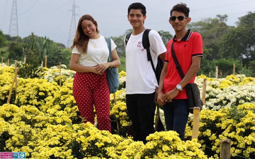 Cultivo-de-flores-Catarina-2