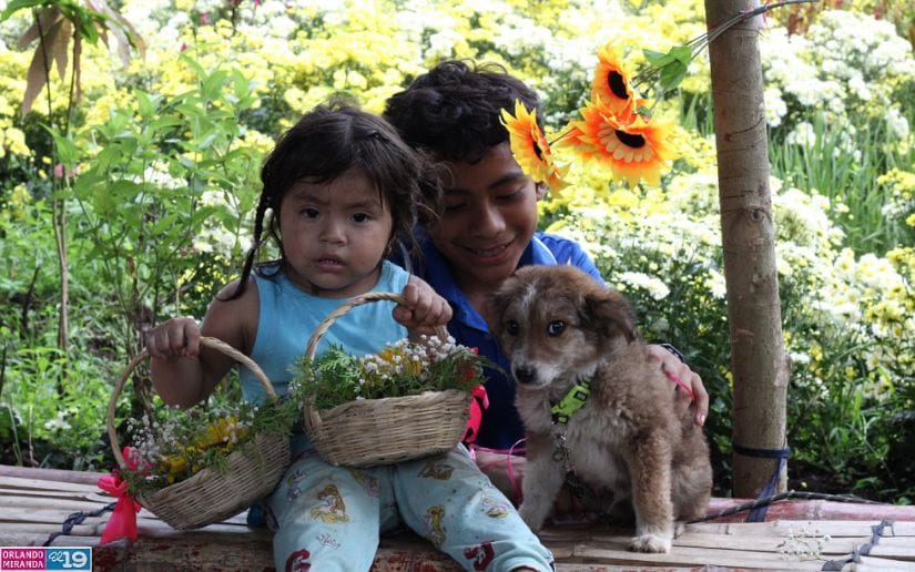 Cultivo-de-flores-Catarina-27