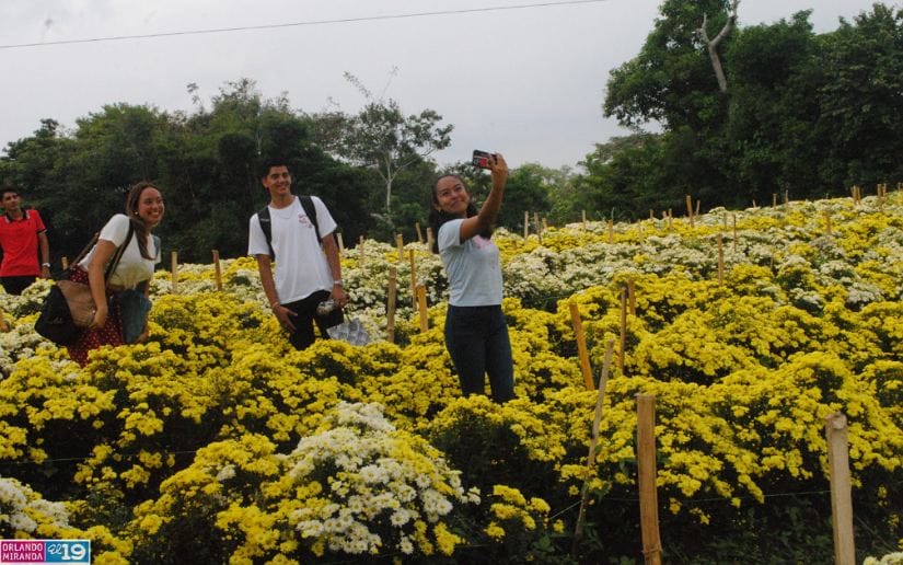 Cultivo-de-flores-Catarina-29