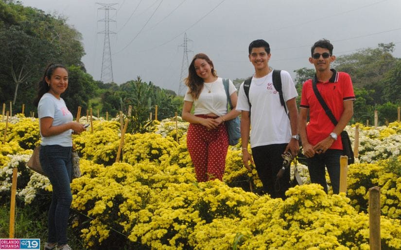 Cultivo-de-flores-Catarina-32