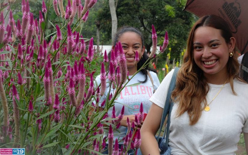 Cultivo-de-flores-Catarina-6