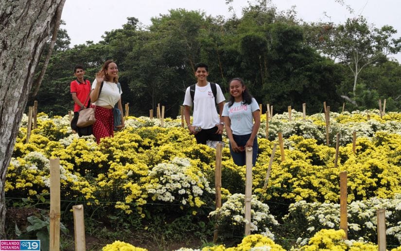 Cultivo-de-flores-Catarina-9