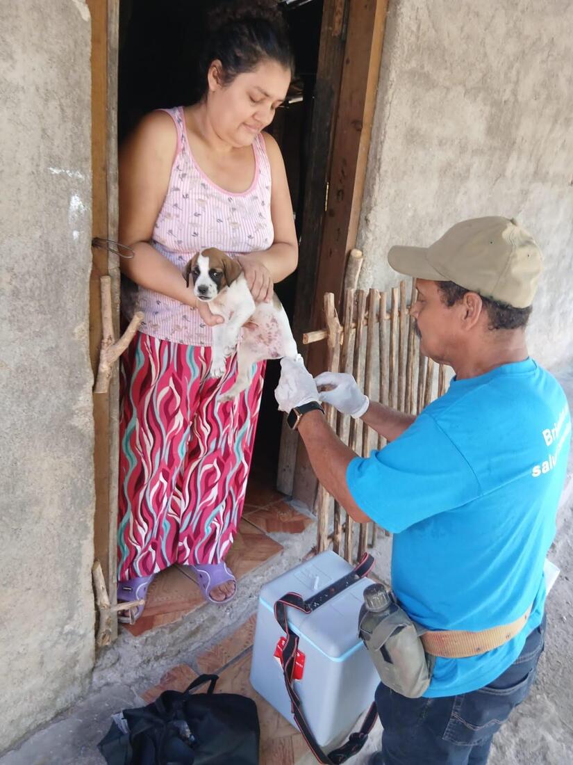 Vacunacion-Canina-12