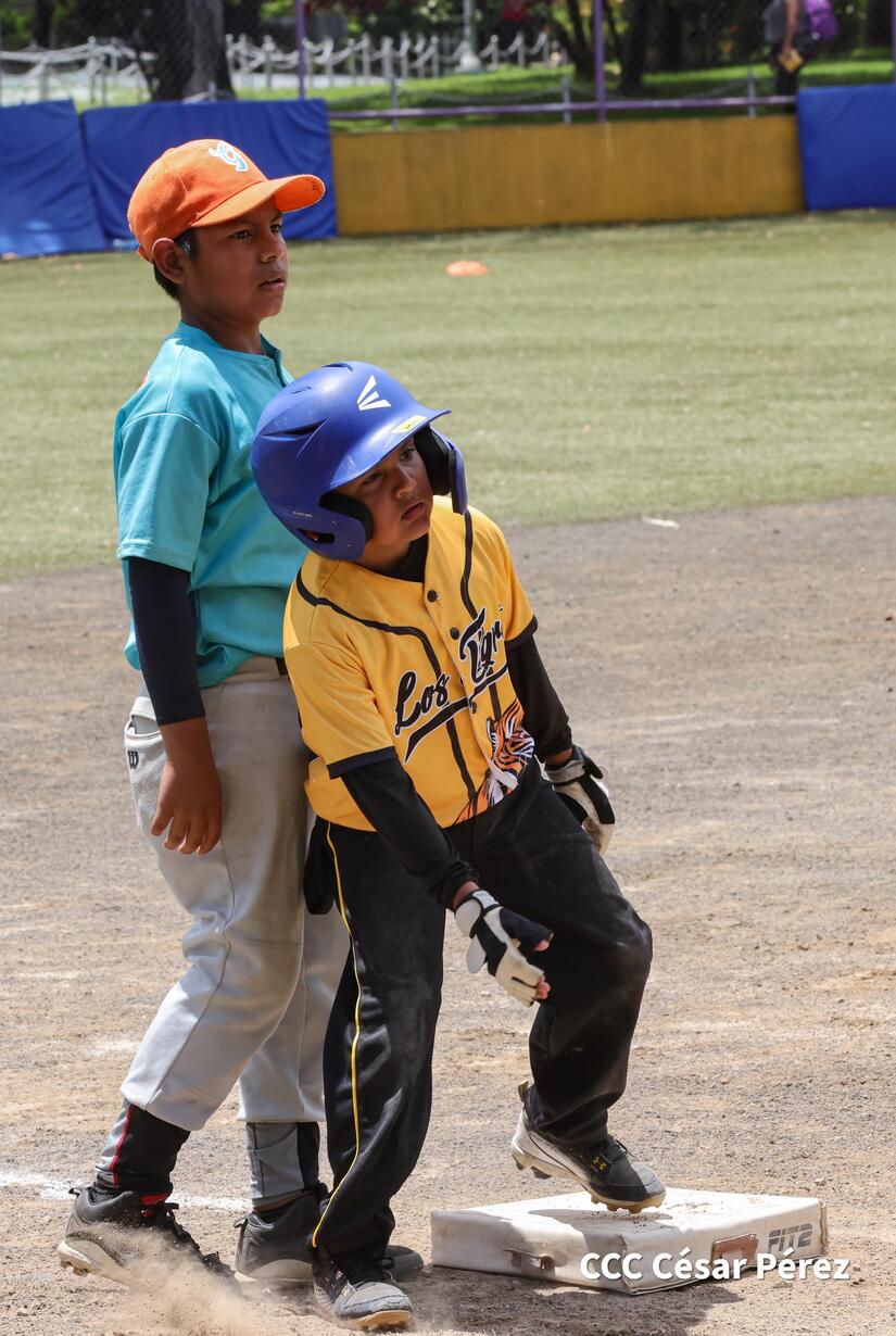 BEISBOL-(3)