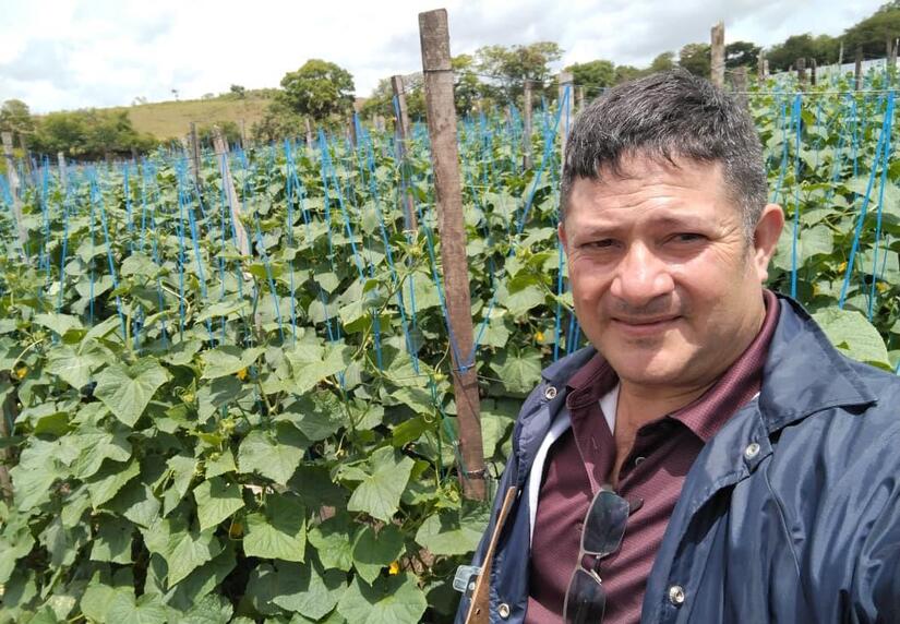 PEPINO1