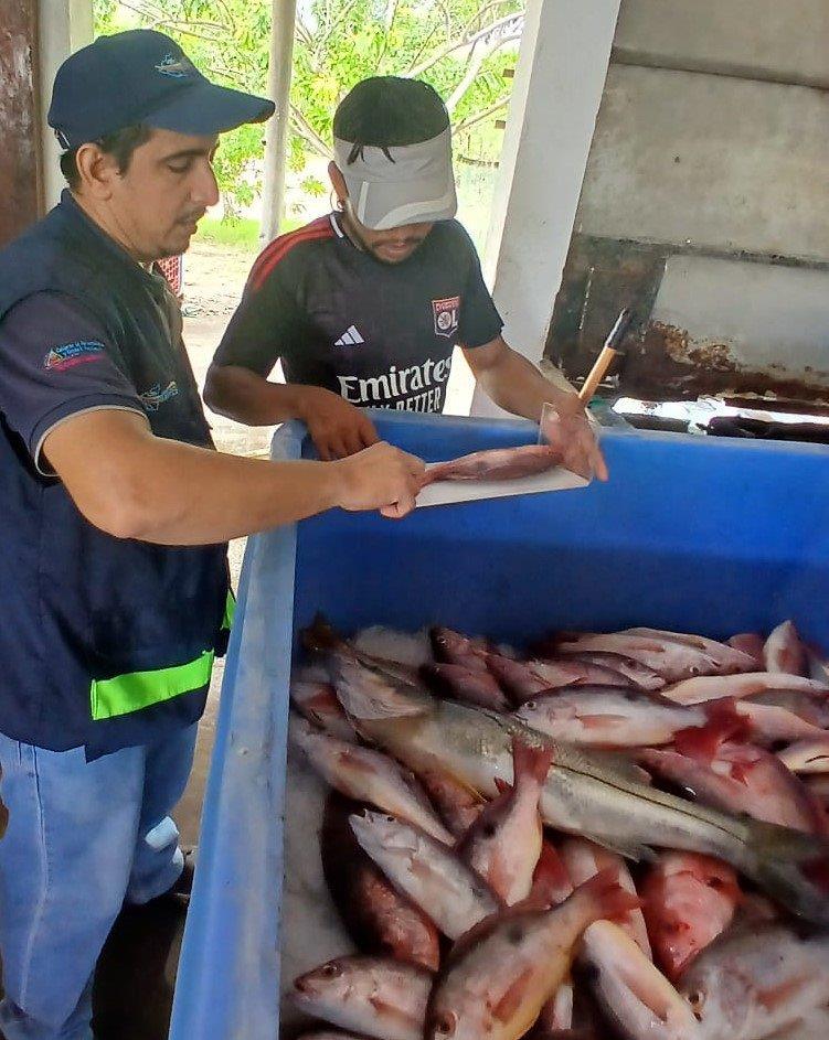 INPESCA1