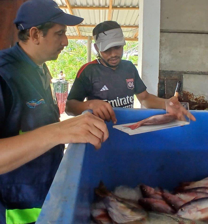 INPESCA18