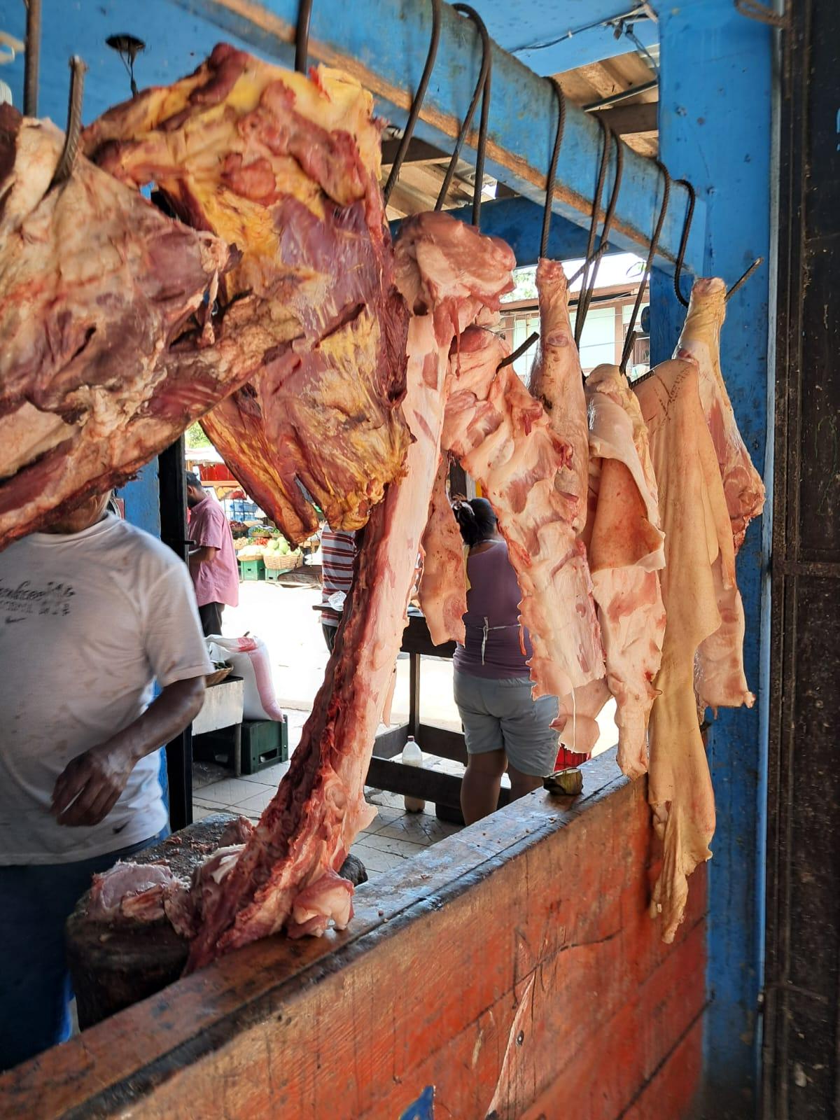 CARNE-PORCINA4