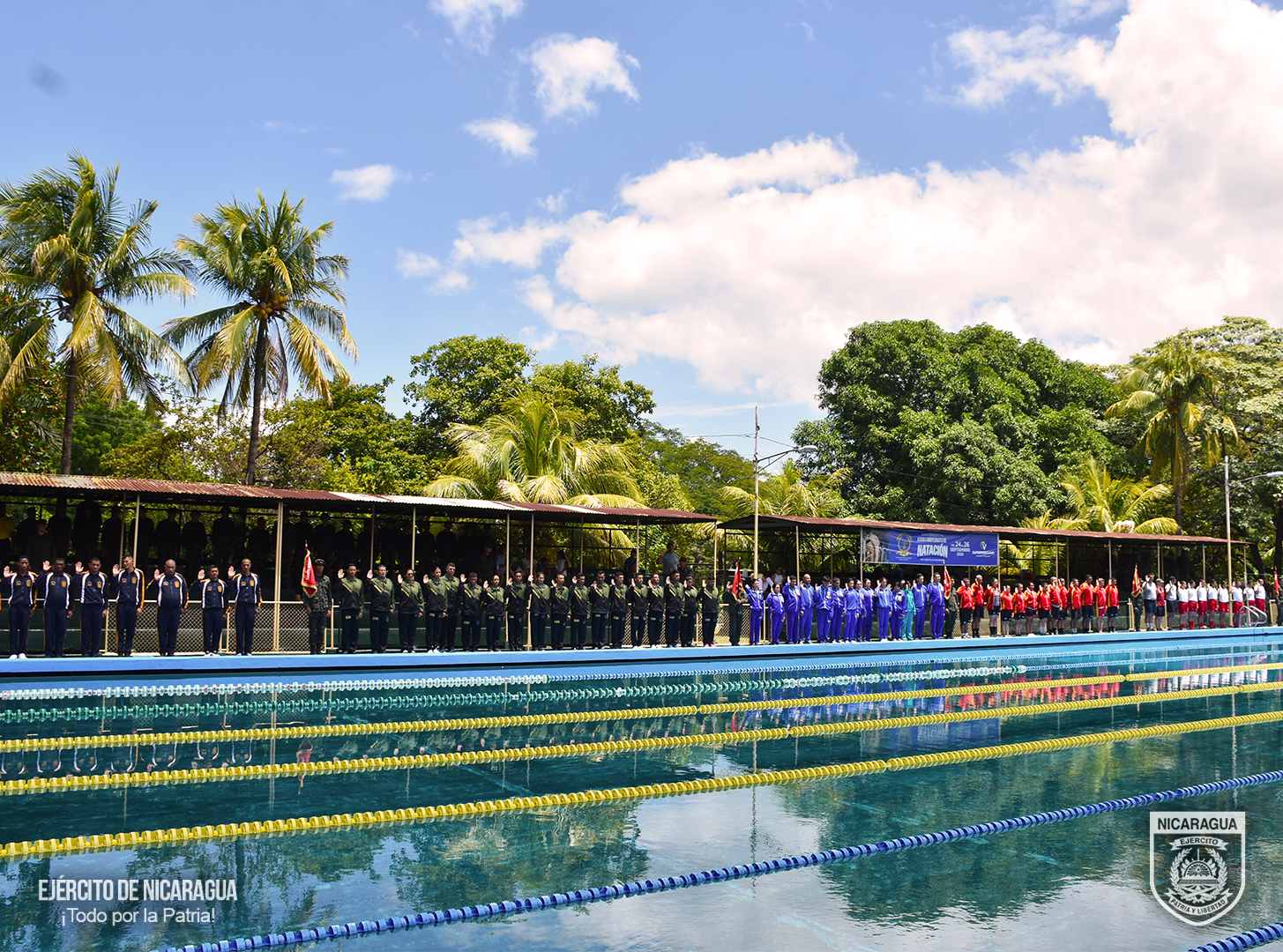 NATACION1