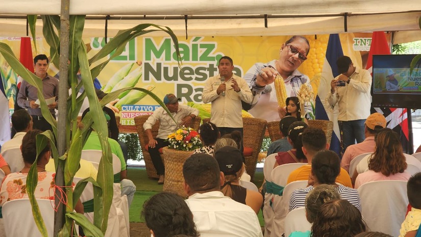 MAIZ10