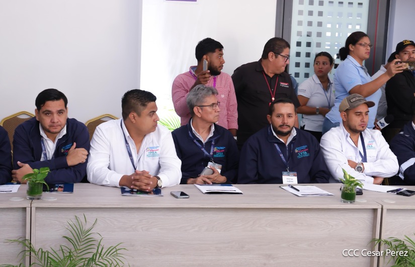 SANIDAD6