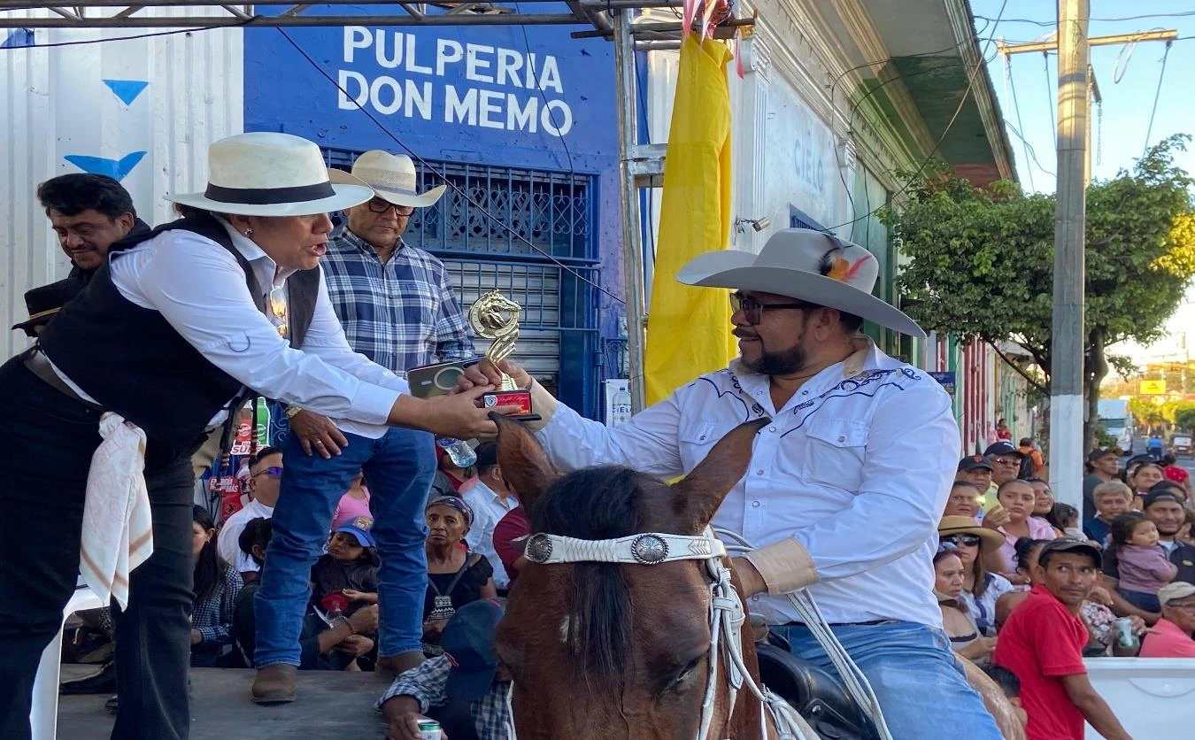 HIPICO14