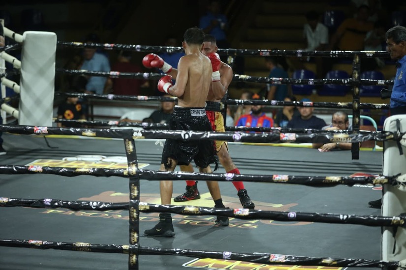 Boxeo--(52)
