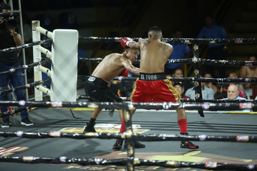 Boxeo--(66)