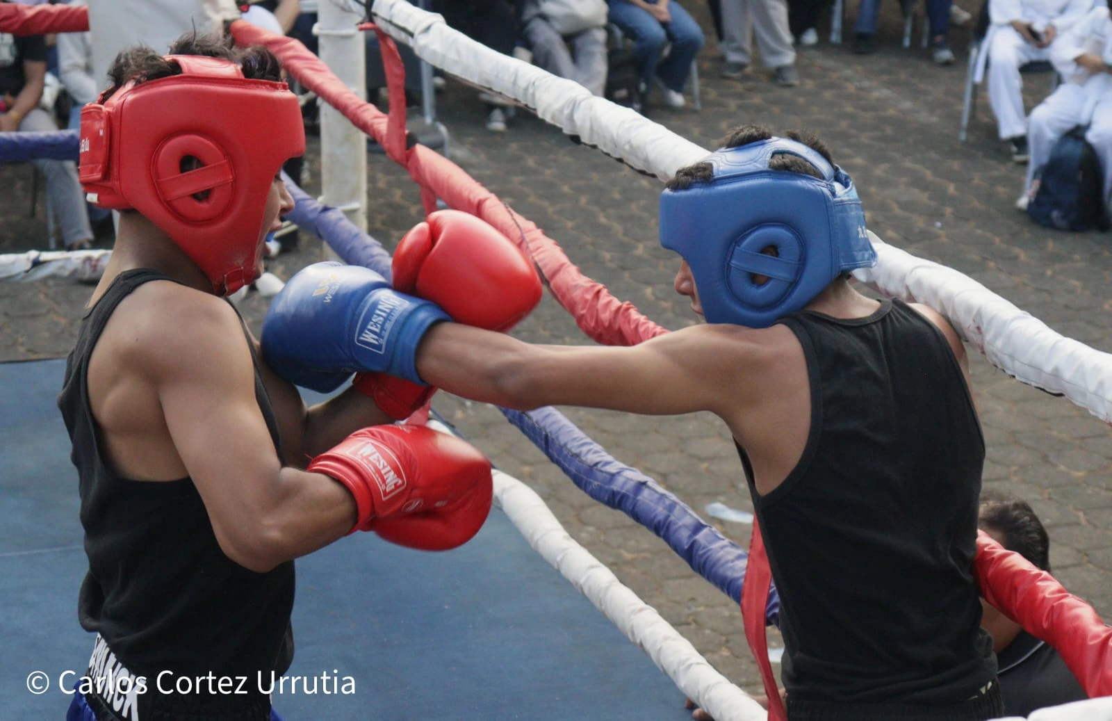 BOXEO11