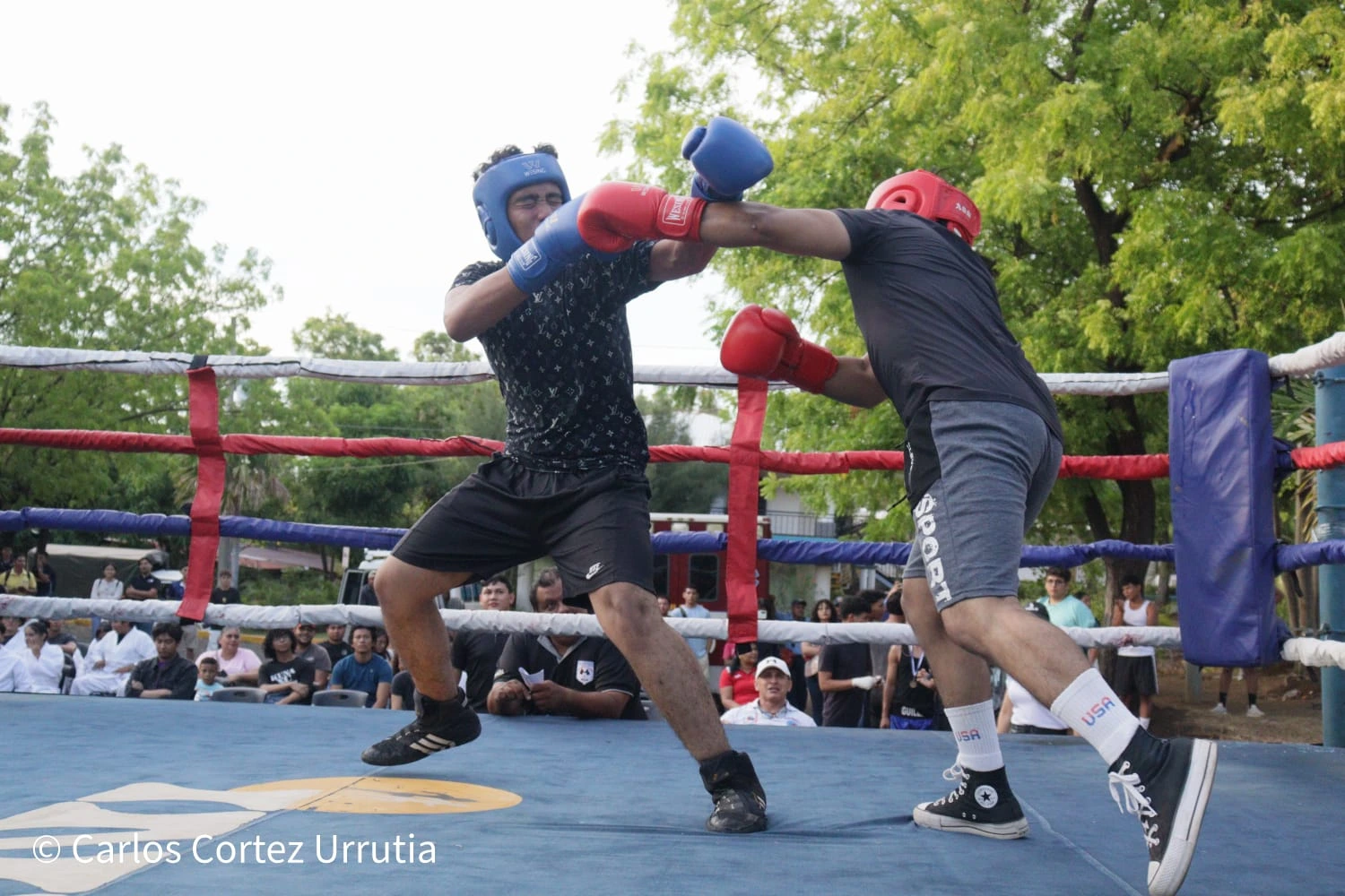 BOXEO6