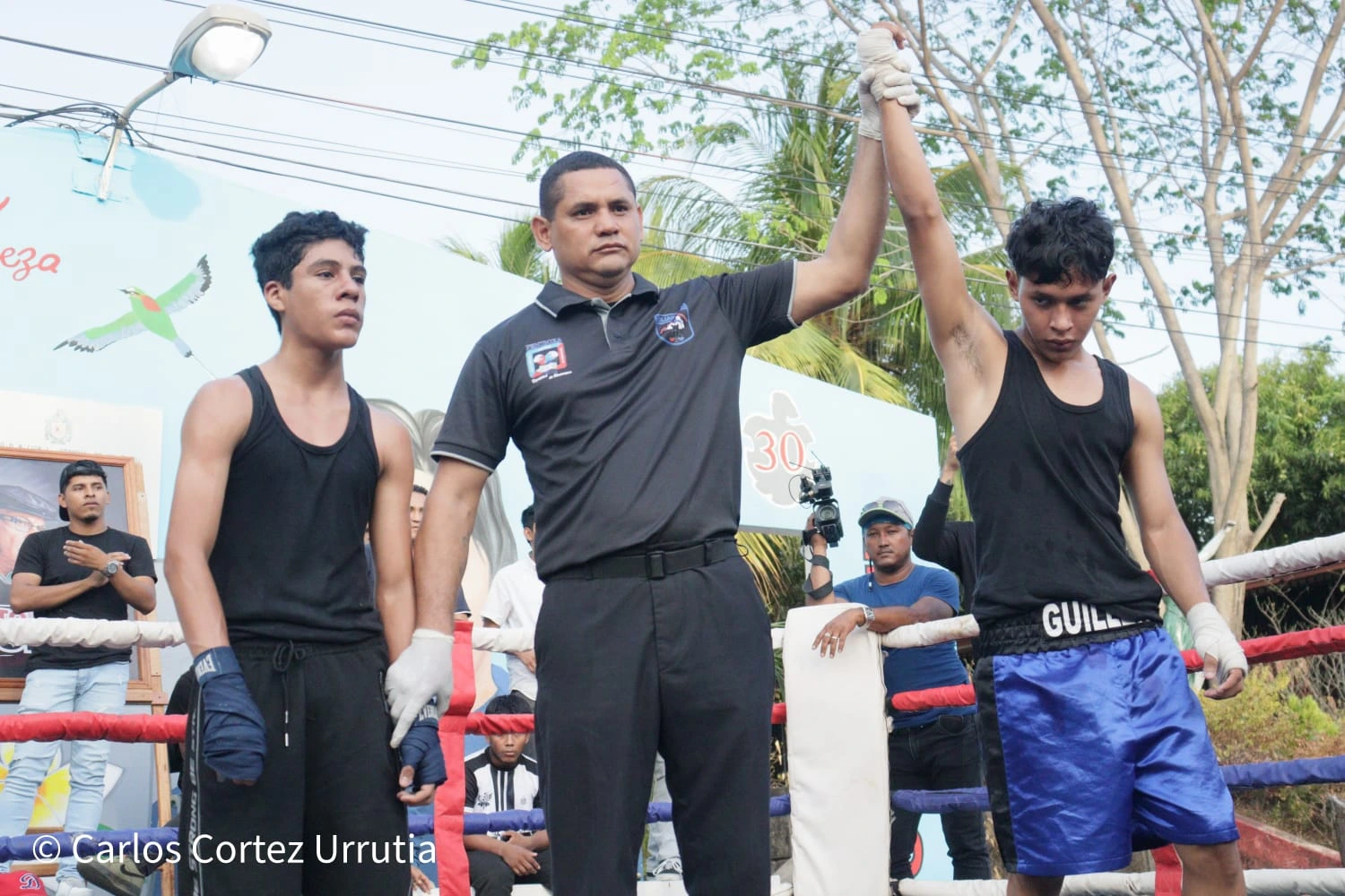 BOXEO7