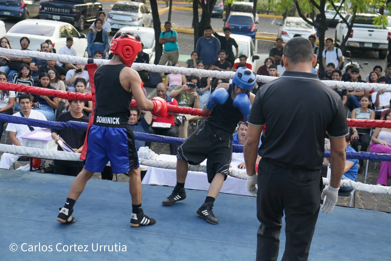 BOXEO8