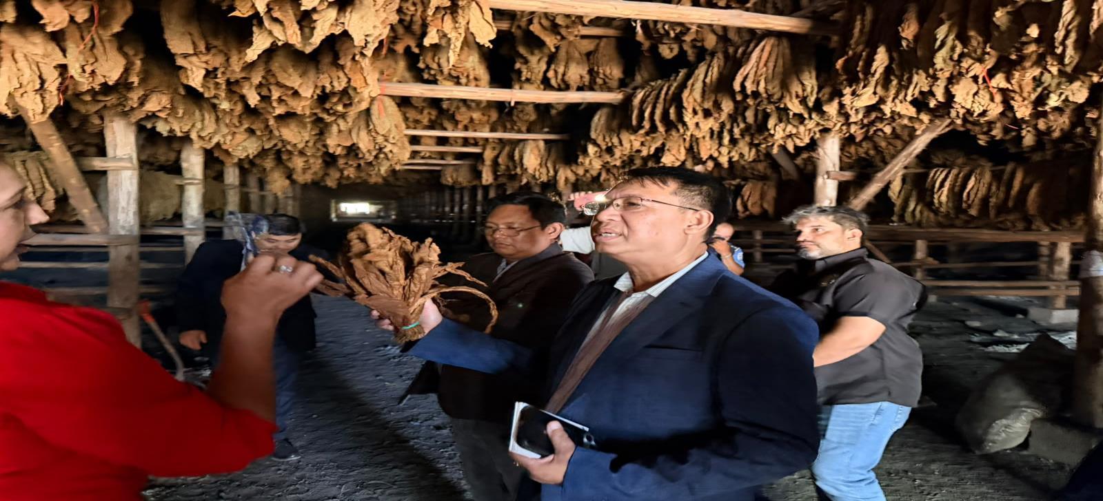 Esteli--(10)