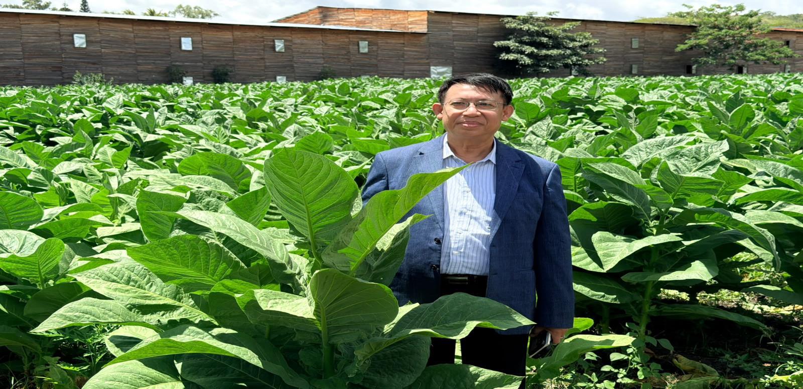 Esteli--(12)