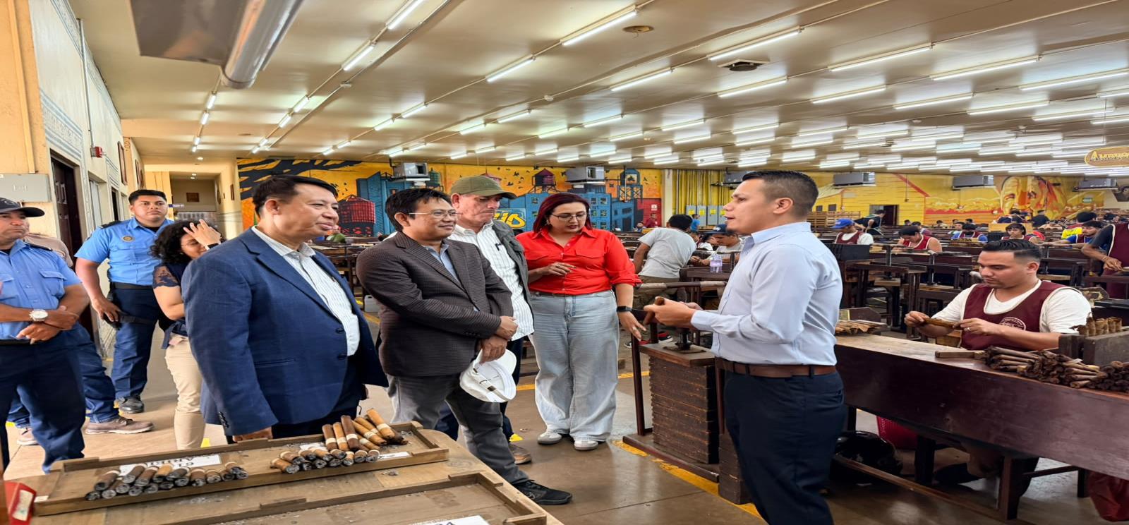 Esteli--(16)