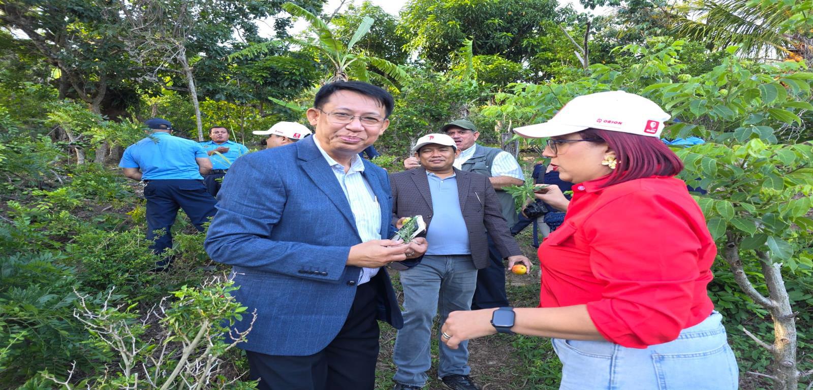 Esteli--(18)