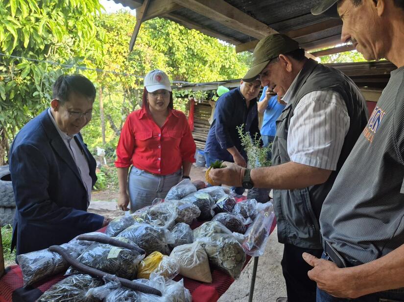 ESTELI--(12)