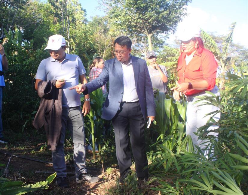 ESTELI--(14)
