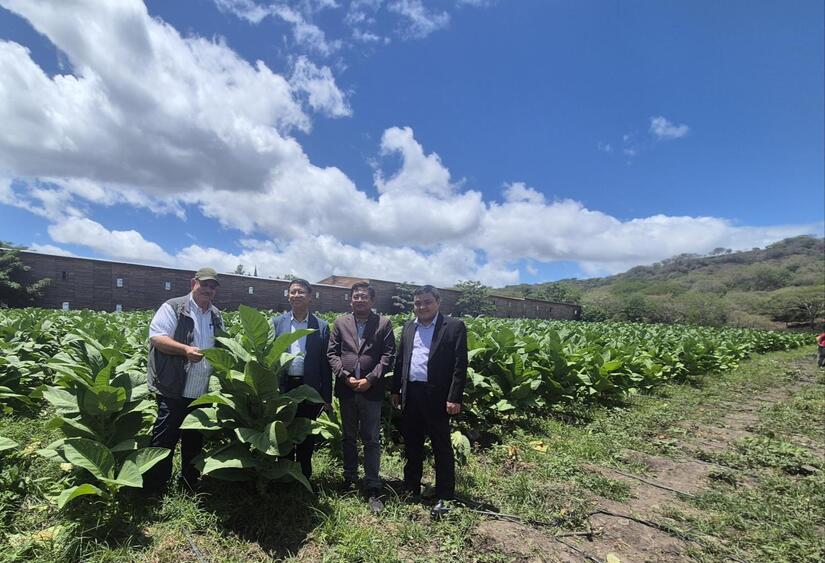 ESTELI--(6)