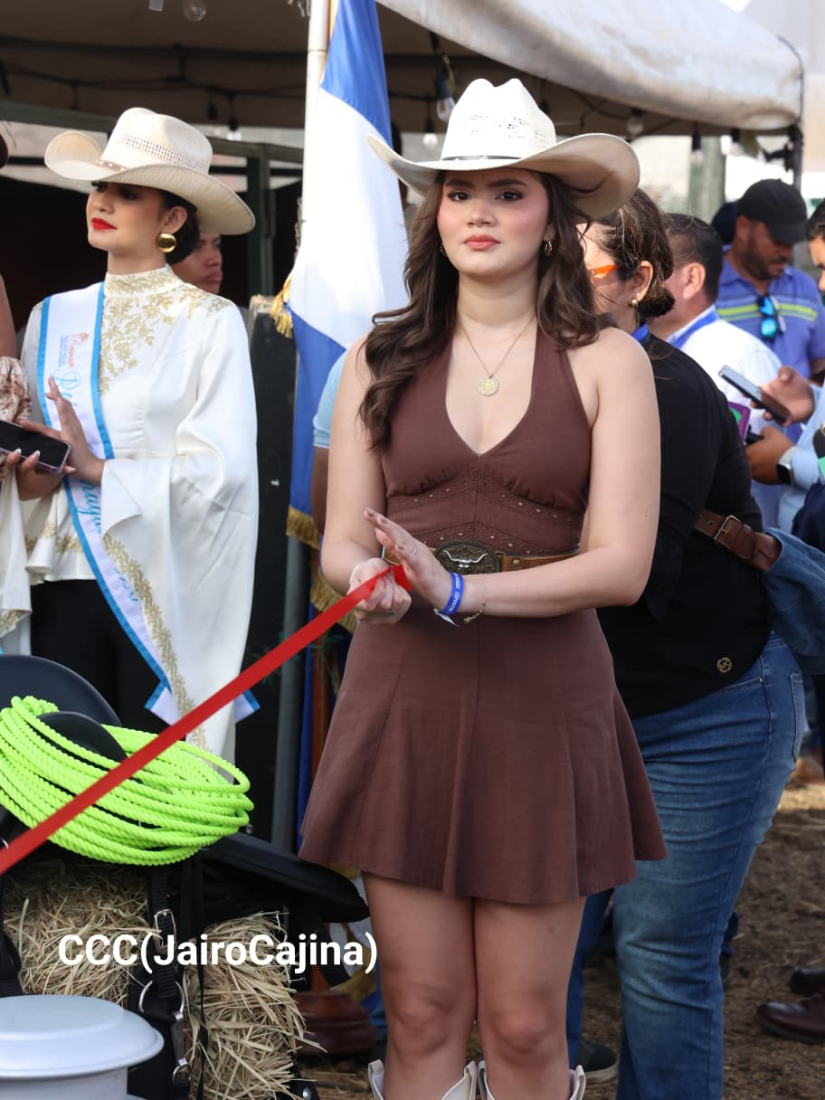 FERIA--(15)