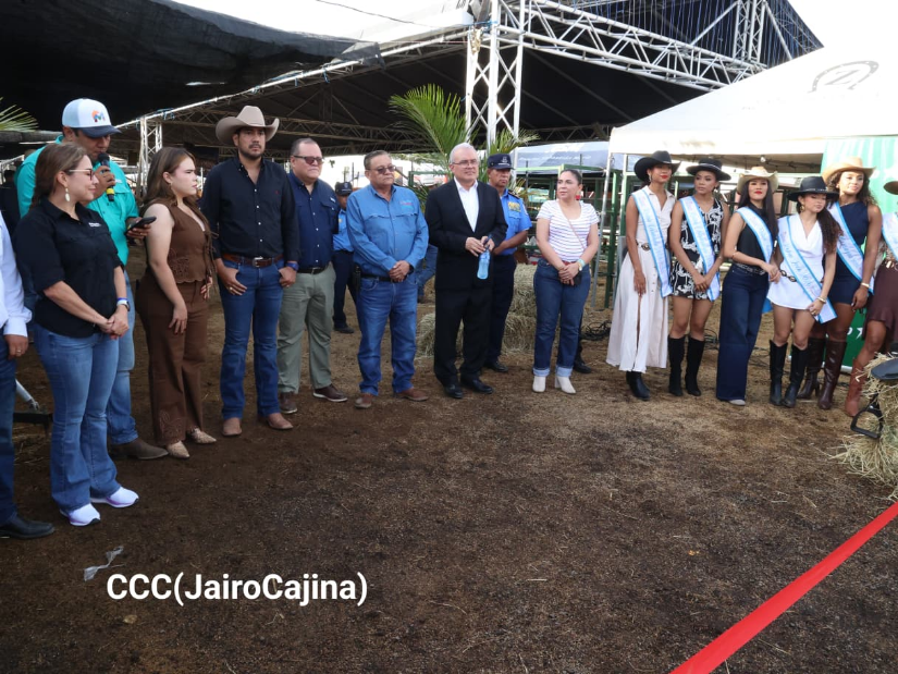 FERIA--(25)
