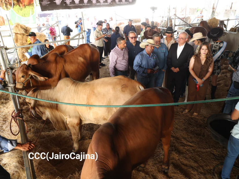 FERIA--(35)