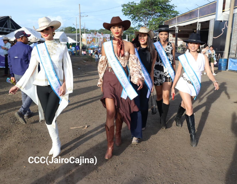 FERIA--(37)