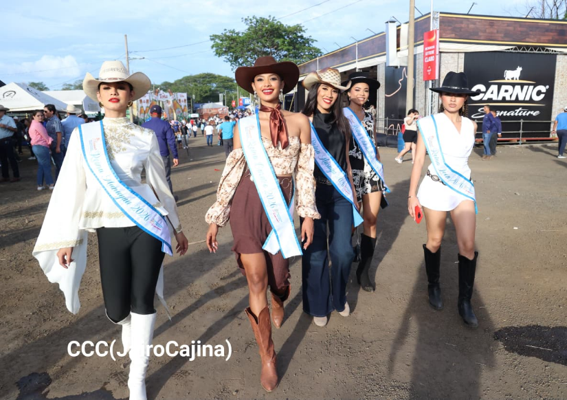 FERIA--(38)