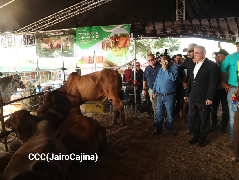 FERIA--(5)