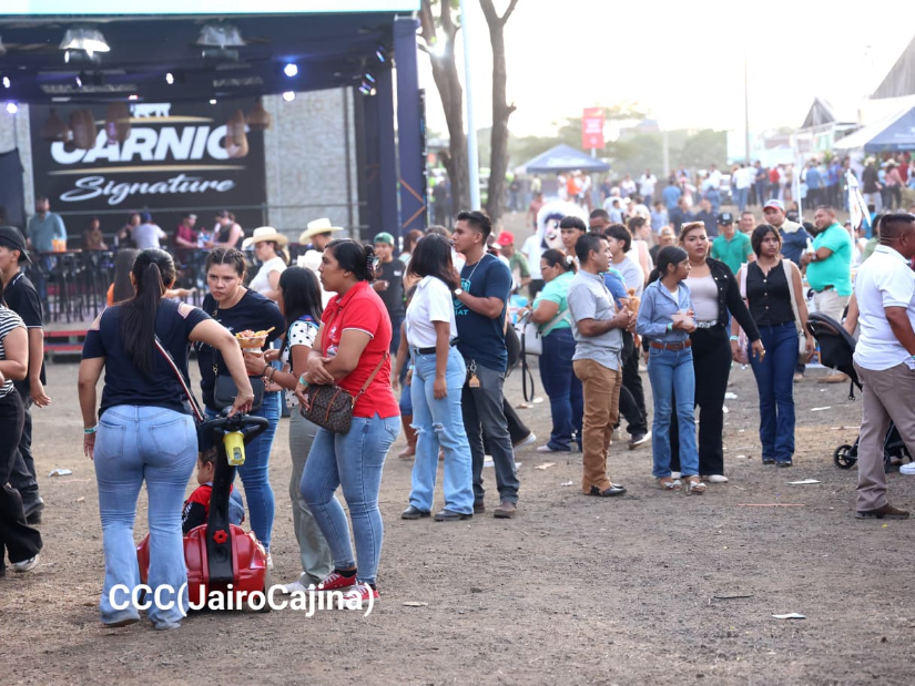 FERIA--(66)