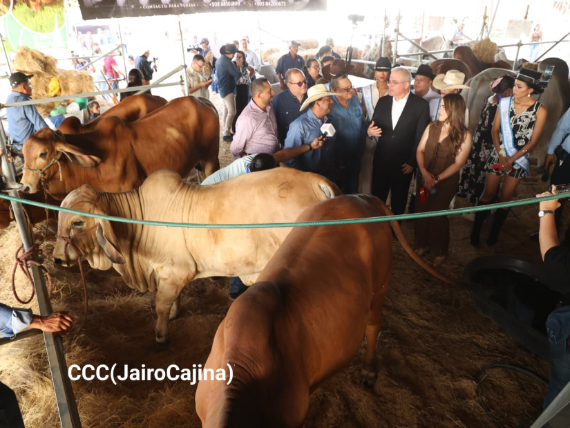 FERIA--(7)