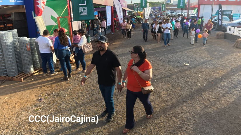 FERIA--(70)