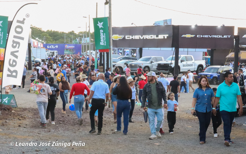 Feria--(18)