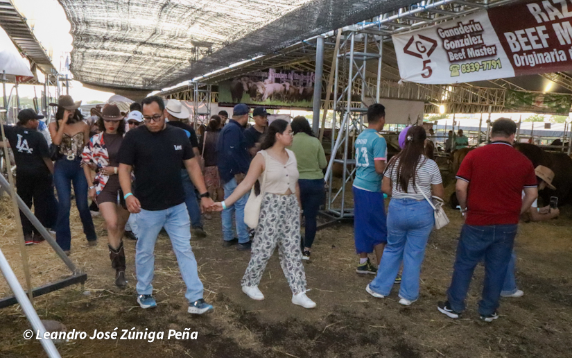 Feria--(33)
